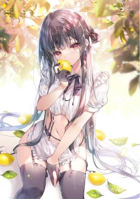 Commander, is Honkai III fun?