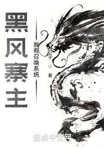 Heifeng Village Master: I have a summoning system